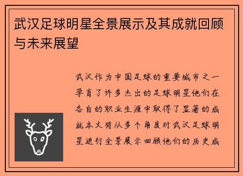 武汉足球明星全景展示及其成就回顾与未来展望