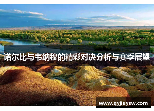 诺尔比与韦纳穆的精彩对决分析与赛季展望